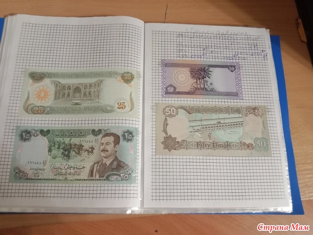Две недели пролетели как один день.