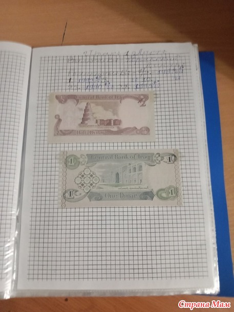 Две недели пролетели как один день.
