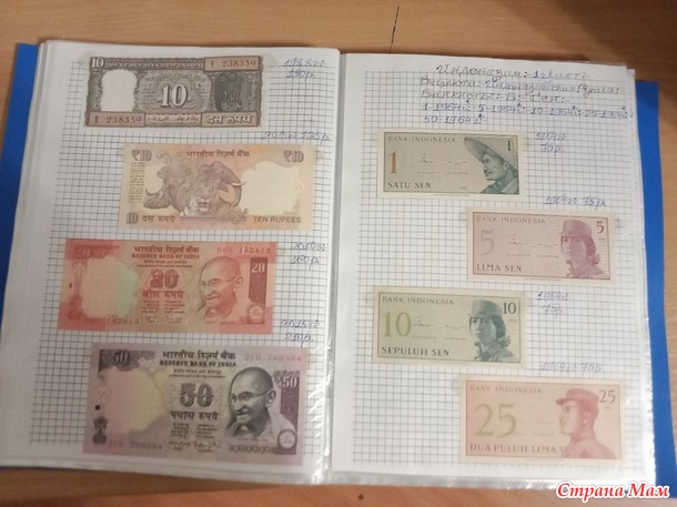 Две недели пролетели как один день.