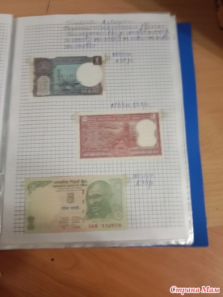 Две недели пролетели как один день.
