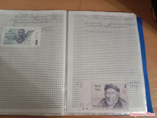 Две недели пролетели как один день.