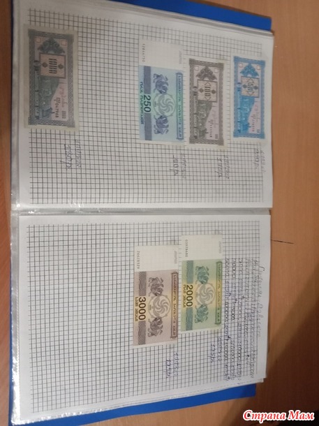 Две недели пролетели как один день.