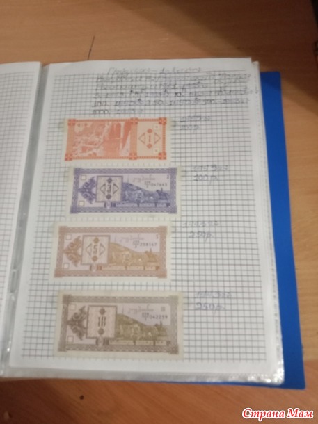 Две недели пролетели как один день.