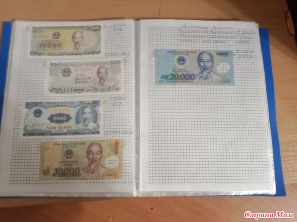 Две недели пролетели как один день.