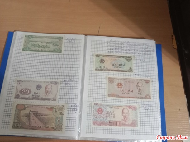 Две недели пролетели как один день.