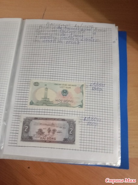 Две недели пролетели как один день.