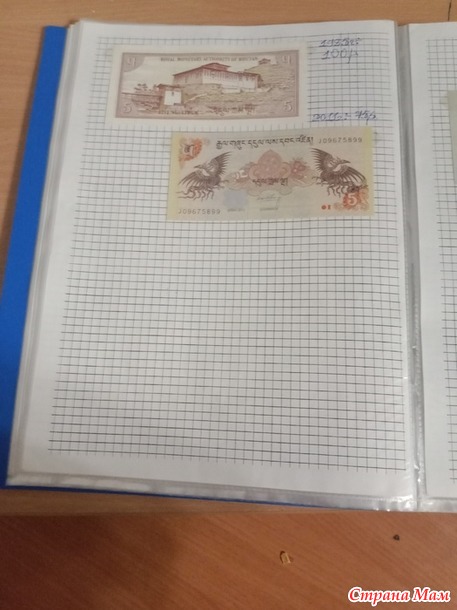 Две недели пролетели как один день.