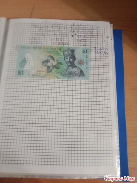 Две недели пролетели как один день.
