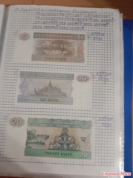 Две недели пролетели как один день.