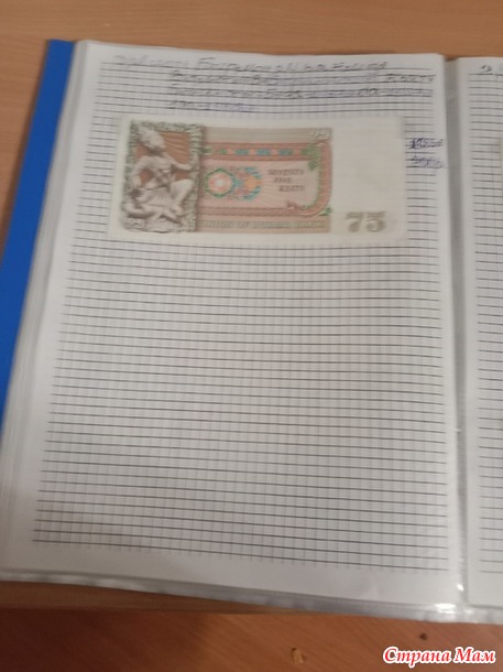 Две недели пролетели как один день.