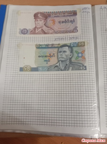 Две недели пролетели как один день.