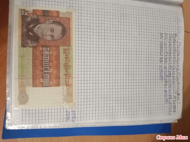 Две недели пролетели как один день.