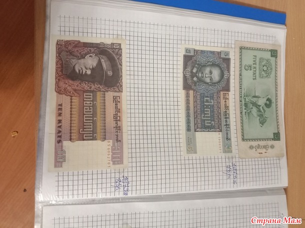 Две недели пролетели как один день.