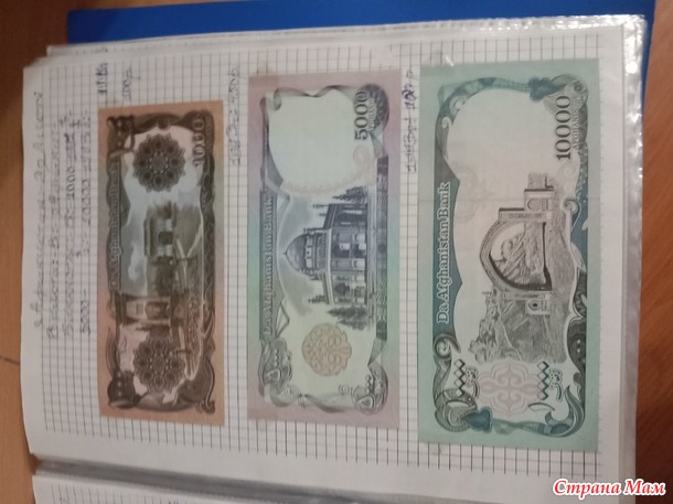 Две недели пролетели как один день.