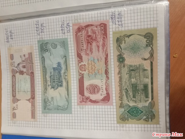 Две недели пролетели как один день.