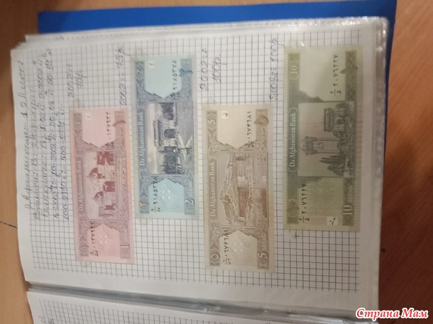 Две недели пролетели как один день.