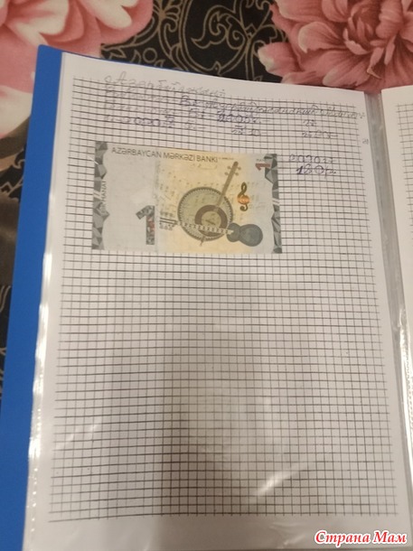 Две недели пролетели как один день.