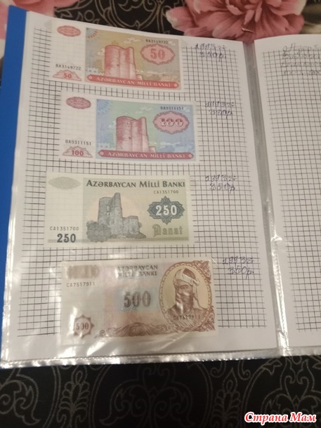 Две недели пролетели как один день.