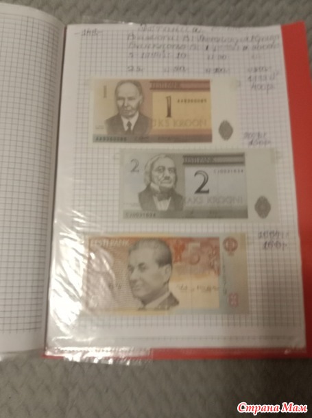 Две недели пролетели как один день.