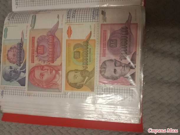 Две недели пролетели как один день.