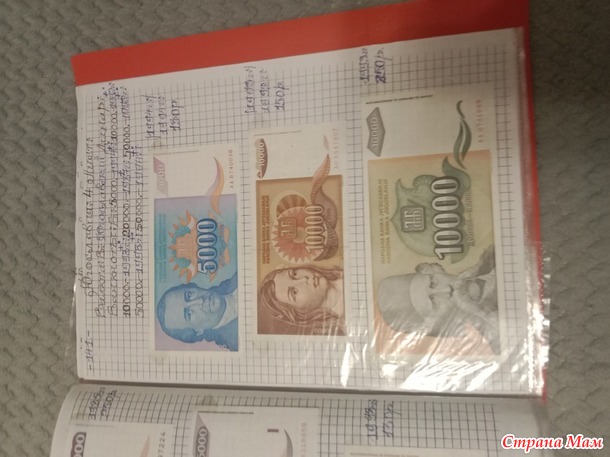 Две недели пролетели как один день.