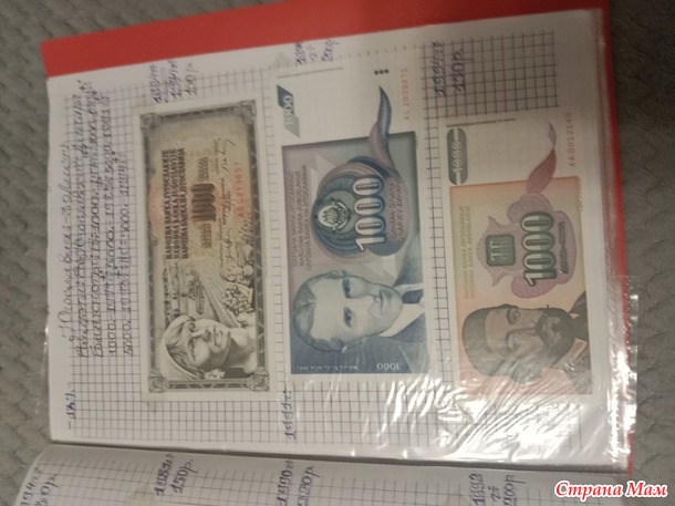 Две недели пролетели как один день.