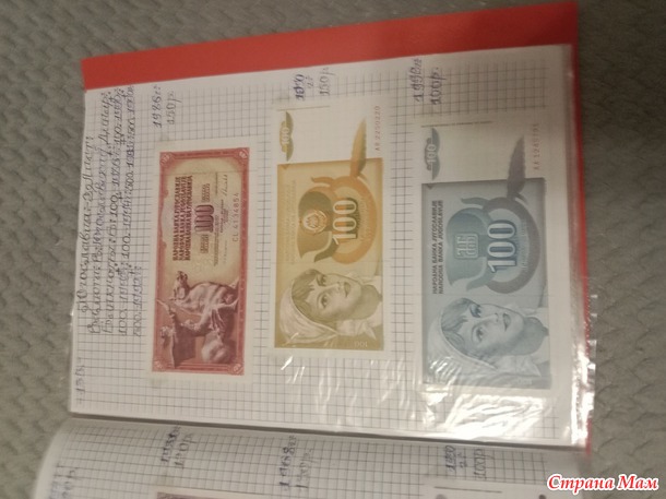 Две недели пролетели как один день.