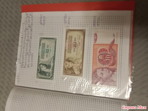 Две недели пролетели как один день.