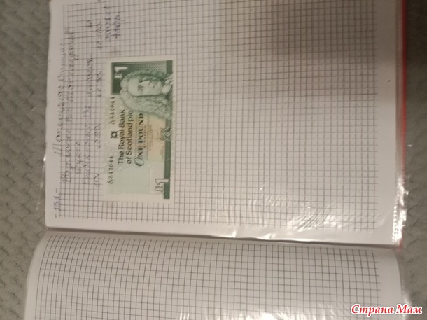Две недели пролетели как один день.