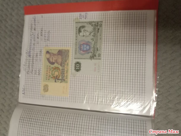 Две недели пролетели как один день.
