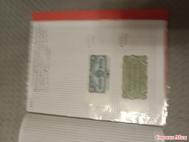 Две недели пролетели как один день.