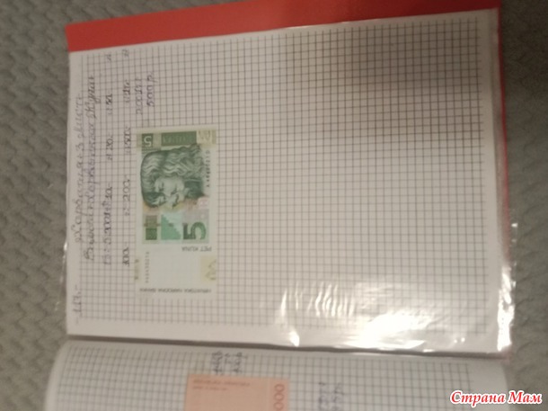 Две недели пролетели как один день.