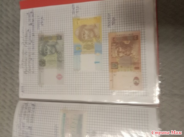 Две недели пролетели как один день.