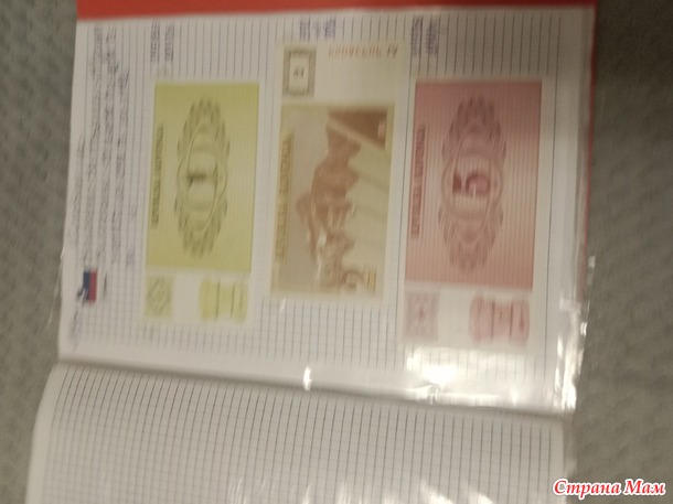 Две недели пролетели как один день.