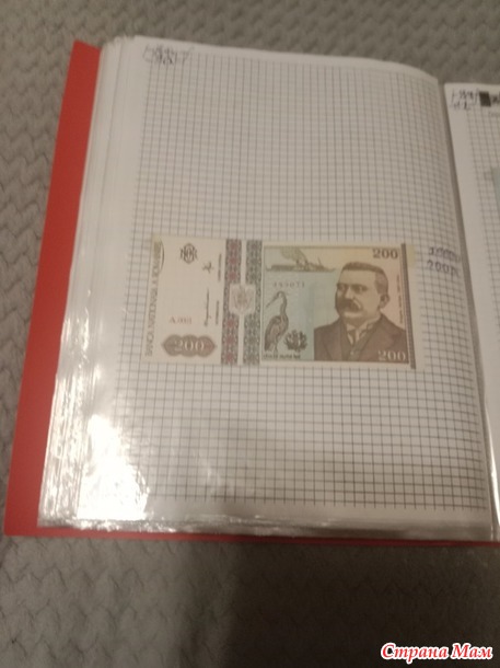 Две недели пролетели как один день.