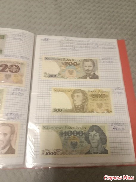 Две недели пролетели как один день.