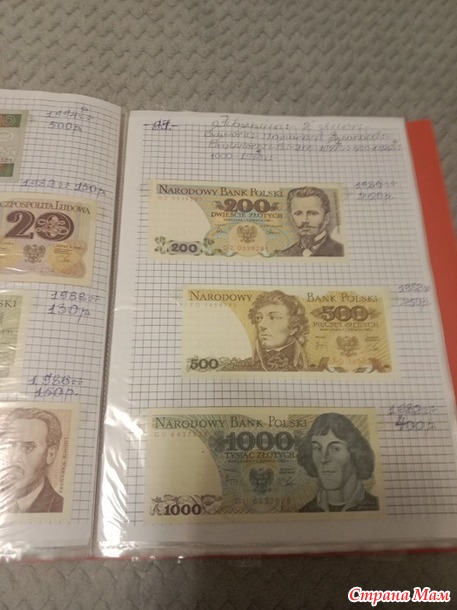 Две недели пролетели как один день.