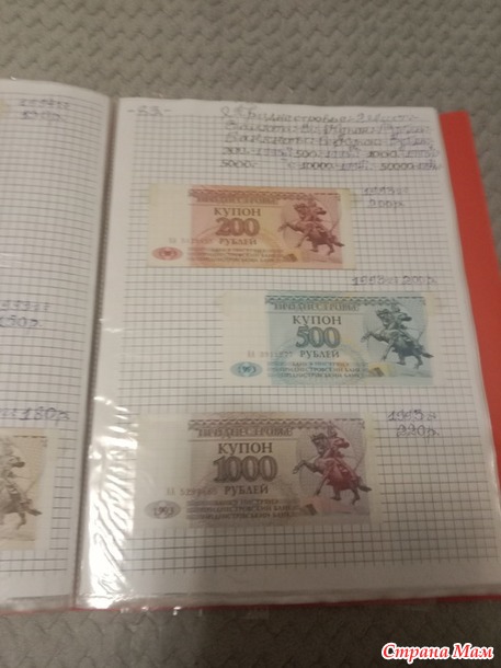 Две недели пролетели как один день.