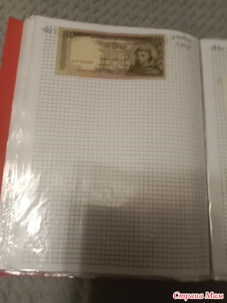 Две недели пролетели как один день.