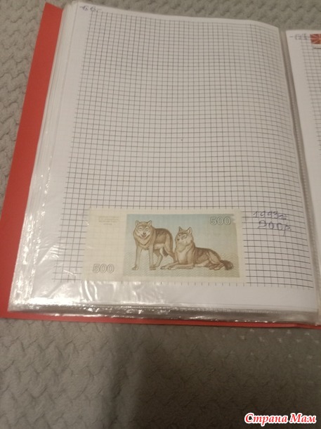 Две недели пролетели как один день.