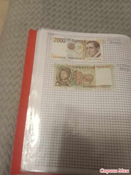 Две недели пролетели как один день.