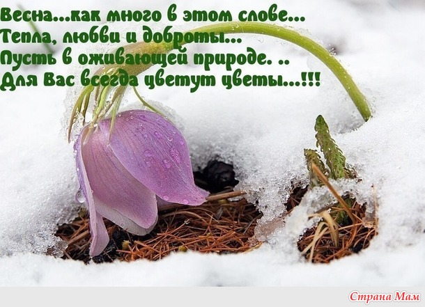 Посиделки на лавочке. Март.