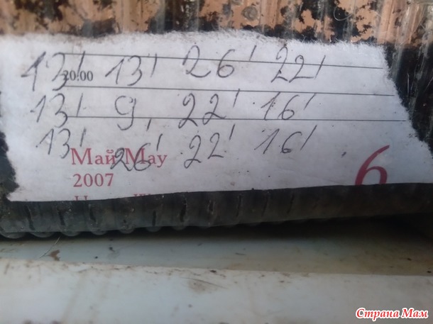 Записки сумасшедшего. Или снова о рассаде.
