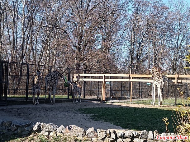 Варшавский зоопарк