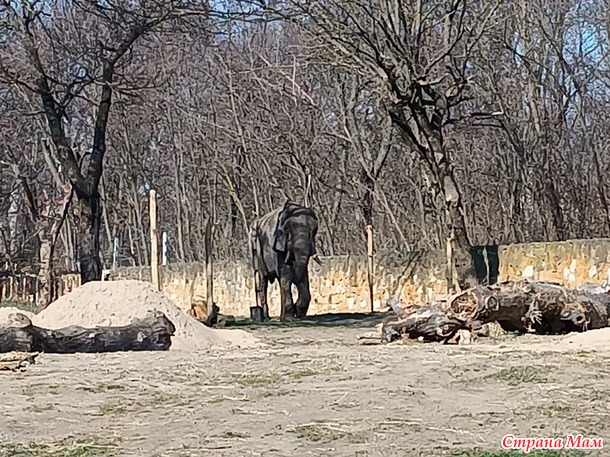Варшавский зоопарк