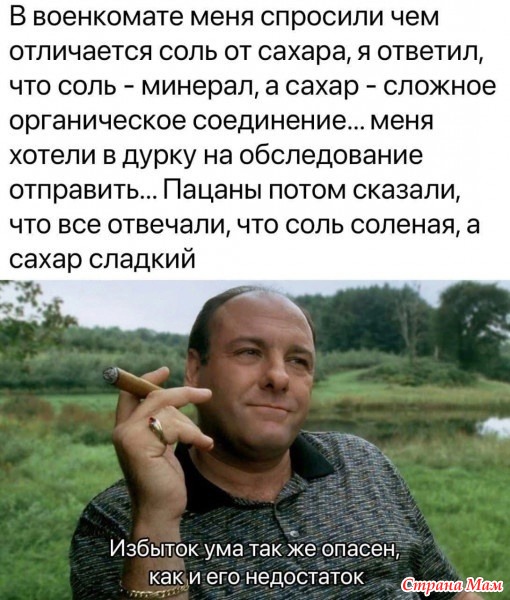     ))