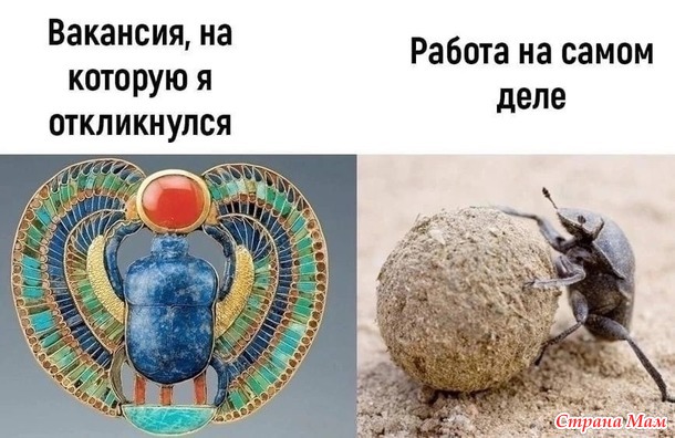   ))