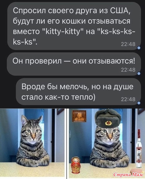 ,  -))