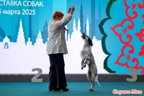 Делимся процессами. Март 2025. Отчёт 4