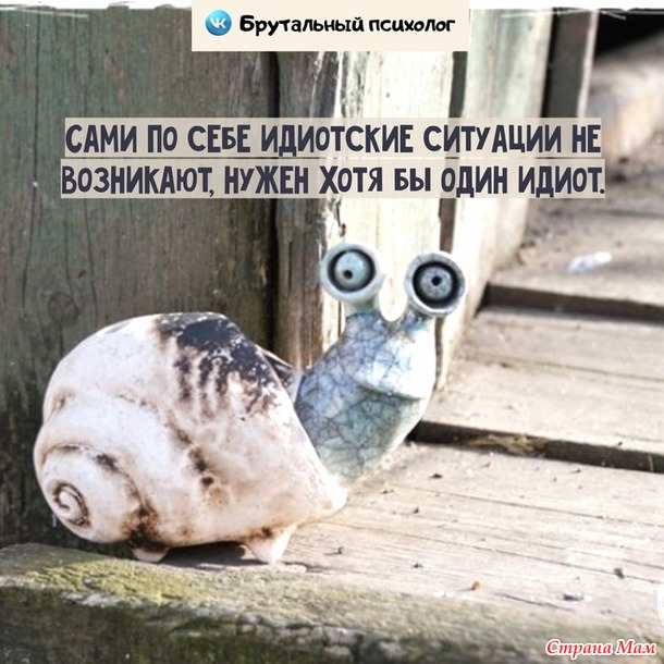     ))